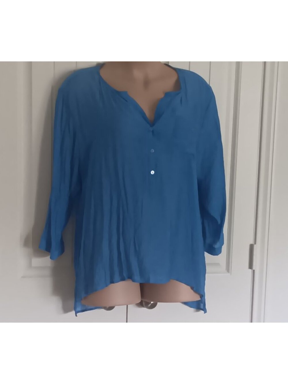 Grand & Greene Women's 3X Blue Button-Down Blouse